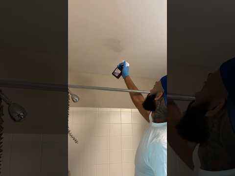 How to get rid of mold in your bathroom