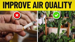 How to Improve Air Quality of Your Home