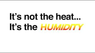 How to Improve Indoor Air Quality