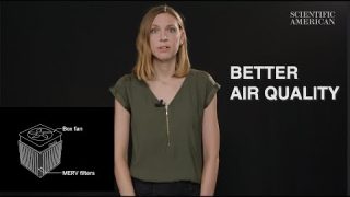 How To Improve Indoor Air Quality