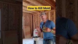 How to Kill Mold