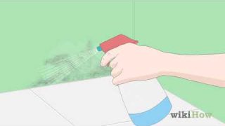 How to Kill Mold With Vinegar