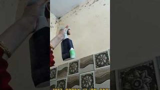 How to remove mold/mildew/black spots from the walls