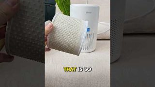 I Tried The VIRAL Air Purifier…
