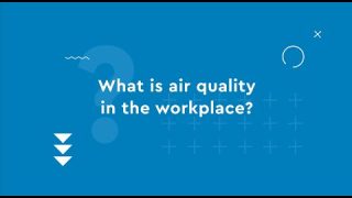 IAQ explainer part 1: What Is Air Quality In The Workplace