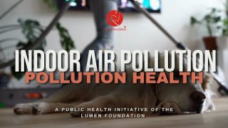 Indoor Air Pollution | Pollution Health