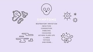 Indoor Air Quality 101   Causes, Effects and Solutions