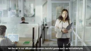 Indoor Air Quality at work place and asthma