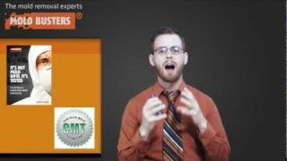 Indoor Air Quality: Health Canada Guidelines
