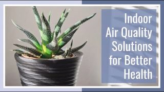 Indoor Air Quality Solutions For Better Health