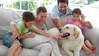 Indoor Air Quality Solutions Residential IAQ Video