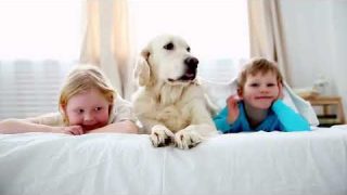 Innovating home comfort  – BestAir | Freudenberg Filtration Technologies