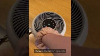 LEVOIT Air Purifier For Pets (Review)