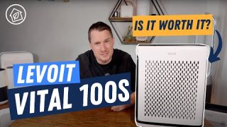 Levoit Vital 100S Review — BETTER than the Core 300s?