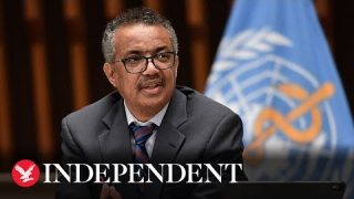 Live: WHO releases air quality guidelines