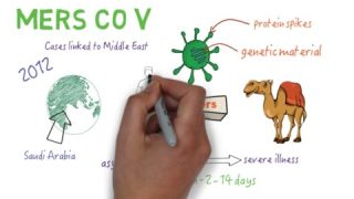 MERS CoV – An overview