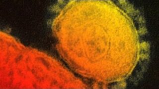 MERS: Threats Posed by the Virus