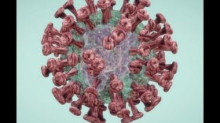 Middle East respiratory syndrome disease coronavirus cases increase amid WHO warnings