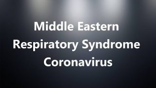 Middle Eastern Respiratory Syndrome Coronavirus – Medical Definition and Pronunciation