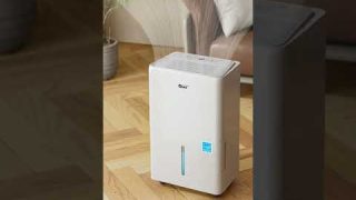 Midea Dehumidifier With Reusable Air Filter – Best for small rooms