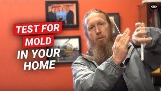 Mold Testing Made Easy at Home with Simple Steps