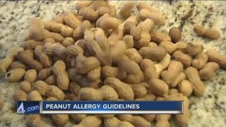 New peanut allergy prevention guidelines start in infancy