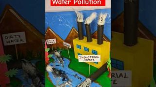 pollution model for school project | science project #science #scienceproject #pollution