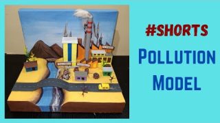 Pollution Model | School Project Models | Air, Water, Land And Sound Pollution #shorts