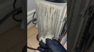 Proof Air Purifier WORKS 🌬 #watchthis 👀