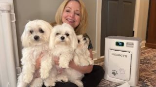 Review: Auto Mode HEAPETS Air Purifier for Allergy Relief #ad