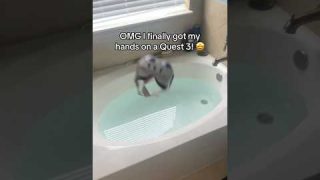 The first thing I did with a Quest 3 VR Headset!