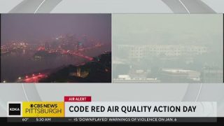 The impacts of unhealthy air on children
