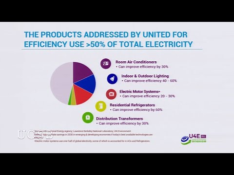 The International Response to Climate Change: Perspectives from within the UN System