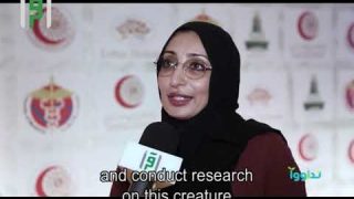 The Middle East Respiratory Syndrome