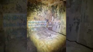 The Moldiest House in the World