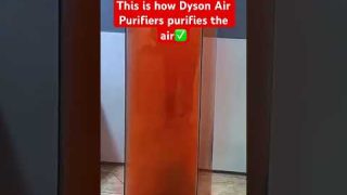 This is how Dyson Air Purifiers purifies the air✅ #dyson #dysonairpurifier #trending #airpurifier