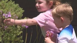 Tips for home allergy prevention