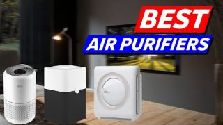 Top 3 Air Purifiers Picks in 2025
