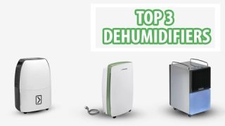 Top 3 Dehumidifiers to reduce mold and fungus – VackerGlobal