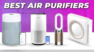 Top 5 Best Air Purifiers 2025 | The Only 5 You Should Consider Today