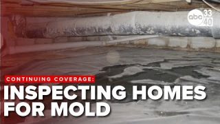Unseen danger: Toxic mold in homes could lead to severe health implications, experts warn
