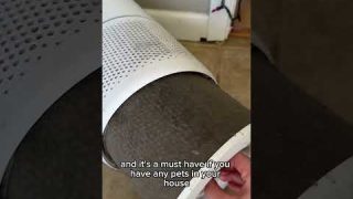 Use this to keep air clean if you have indoor pets! #levoit #airpurifier  #cat