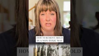 Use THIS to kill mold in your house the RIGHT WAY! 🦠