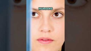 VOCs: Understanding Indoor Air Quality & Health Risks