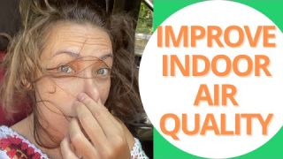 Ways to Improve Indoor Air Quality