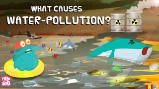What is POLLUTION? | Types of POLLUTION – Air | Water | Soil | Noise | Dr Binocs Show -Peekaboo Kidz