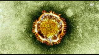 What you need to know about MERS