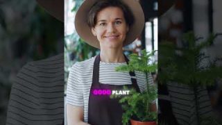 What’s Pollution Your Indoor Air? Find Out! #podcast #indoorairquality #airquality #airpollution