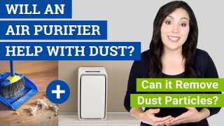 Will an Air Purifier Help with Dust? (Can Air Purifiers Remove Dust?)