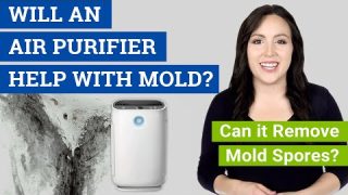 Will an Air Purifier Help with Mold? (Can it Remove Mold Spores?)